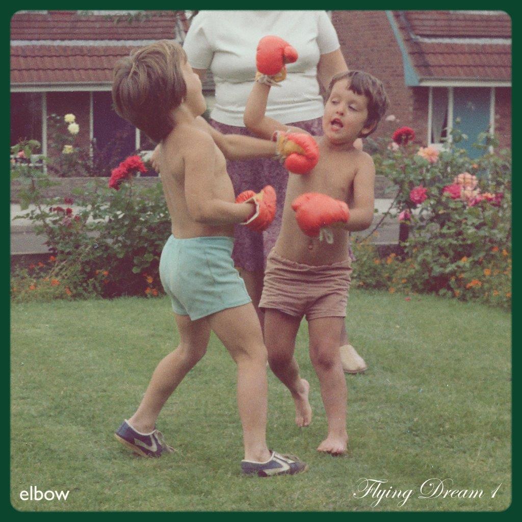 Elbow - Flying Dream 1 Black Vinyl CD