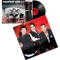 Busted - Greatest Hits 2.0 Black Vinyl